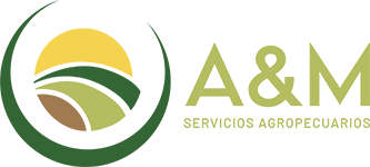 aymcompleto2-333x150